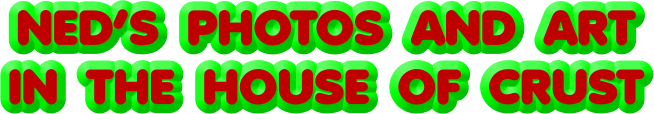 NED’S  PHOTOS  AND  ART  IN  THE  HOUSE  OF  CRUST